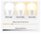 LED Ambient Lamp