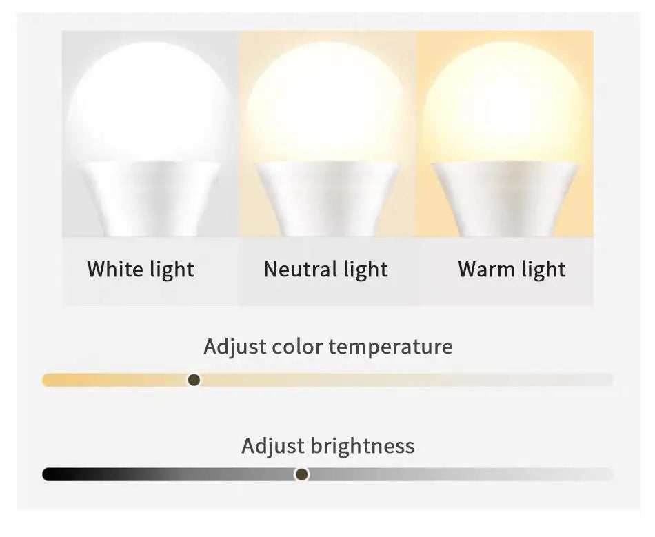 LED Ambient Lamp